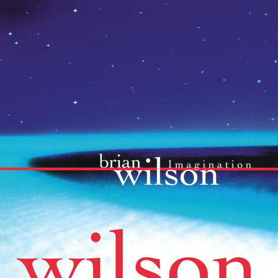 WILSON, BRIAN - IMAGINATION - LP
