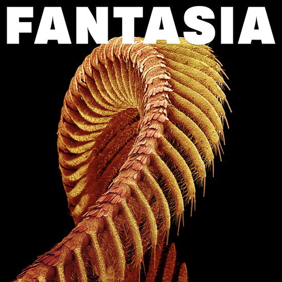 SLIFT - FANTASIA - CD