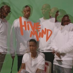 INTERNET - HIVE MIND : 2LP SET - LP