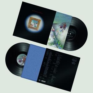MY NEW BAND BELIEVE - MY NEW BAND BELIEVE - LP