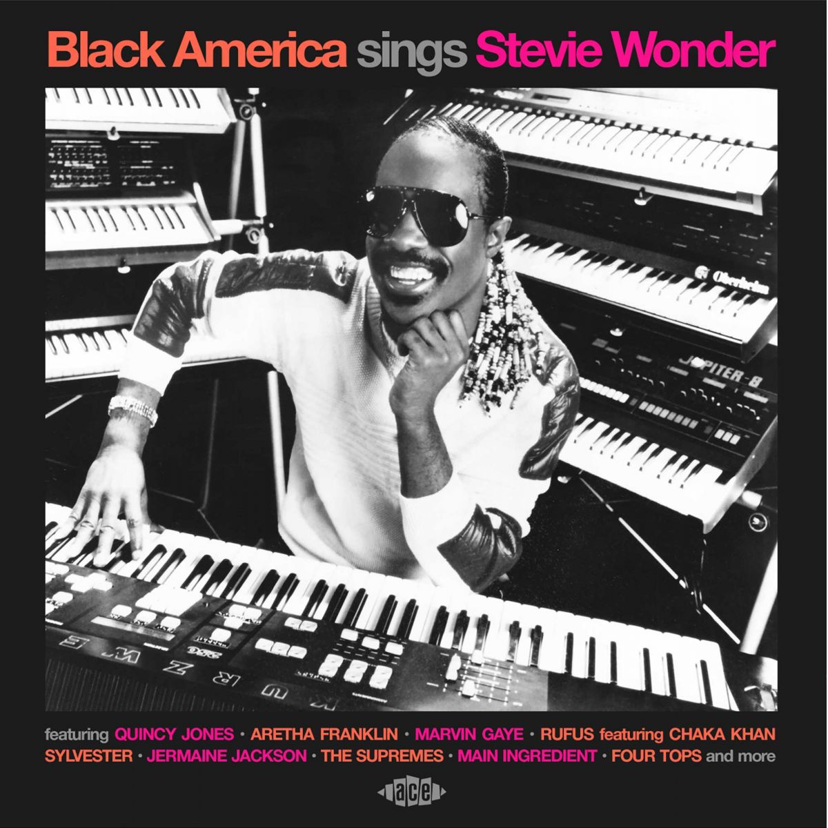 WONDER, STEVIE / VARIOUS - BLACK AMERICA SINGS STEVIE WONDER - CD