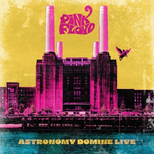 PINK FLOYD - ASTRONOMY DOMINE LIVE : 10CD SET - CD