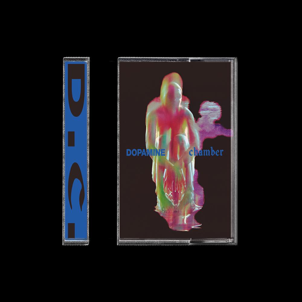 FONTAINES DC - DOPAMINE CHAMBER: CASSETTE - CS