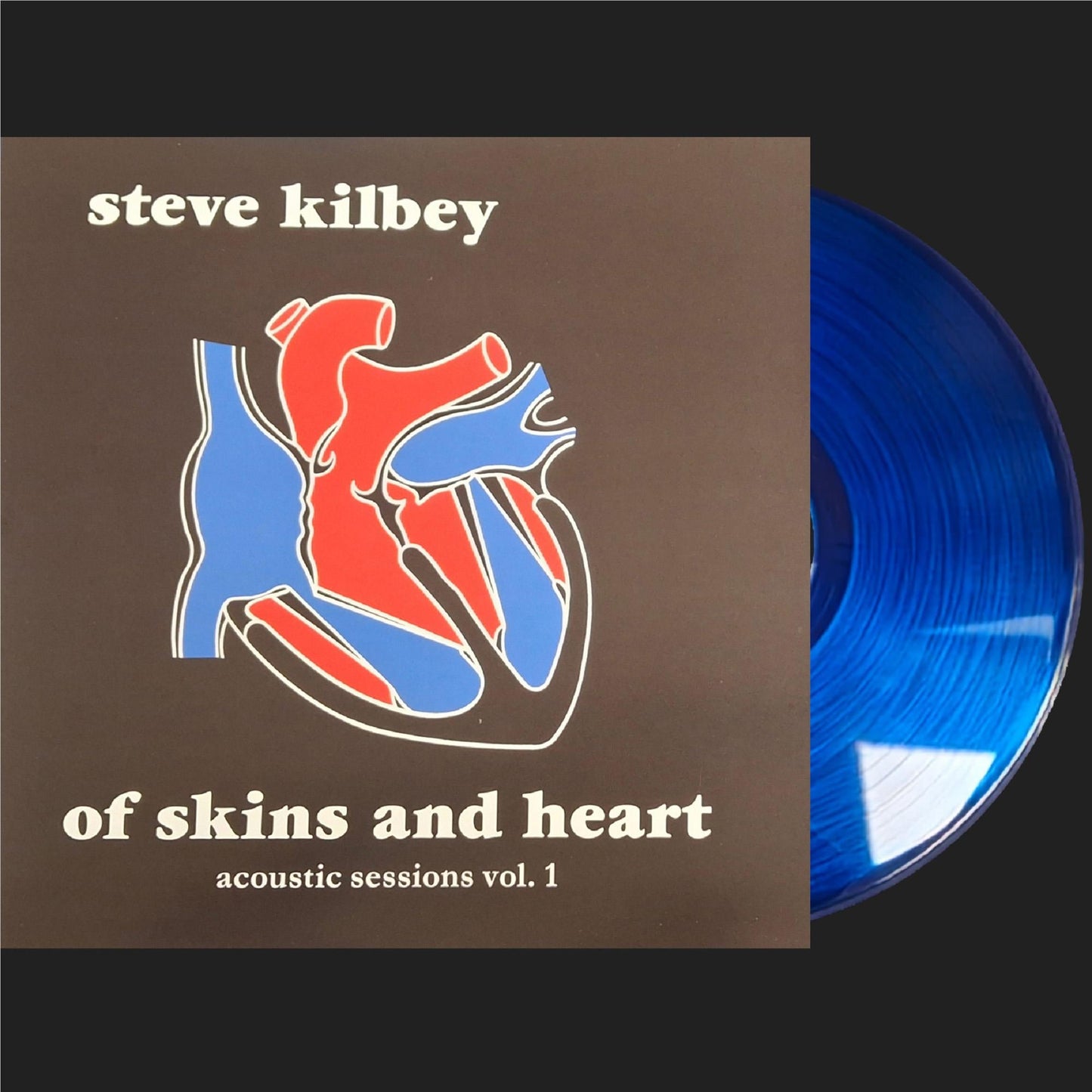 KILBEY, STEVE - OF SKINS & HEART: ACOUSTIC SESSIONS 1 - LP