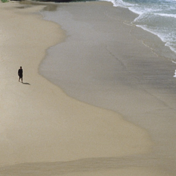 AUTUMN DEFENSE - HERE AND NOWHERE - CD