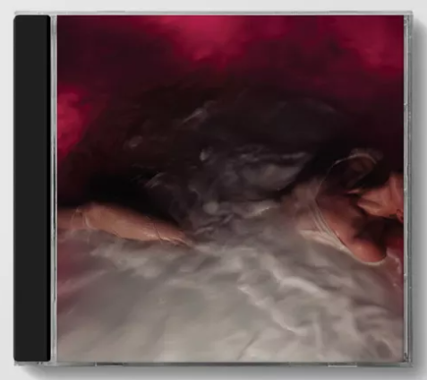 WILLIAMS, HAYLEY - FLOWERS FOR VASES / DESCANSOS - CD