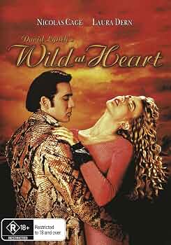 WILD AT HEART - FILM - DVD