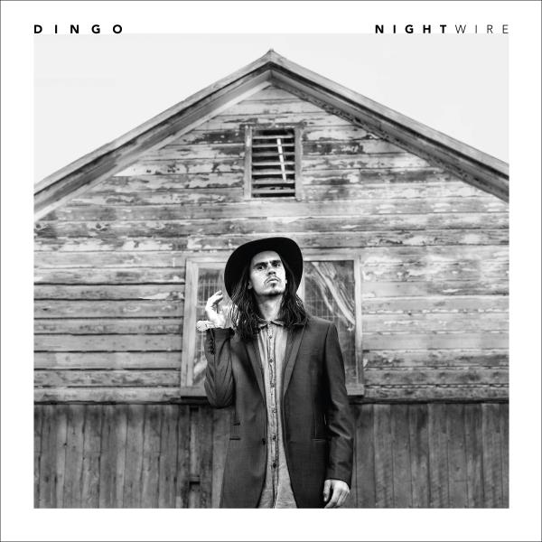 DINGO - NIGHTWIRE - CD
