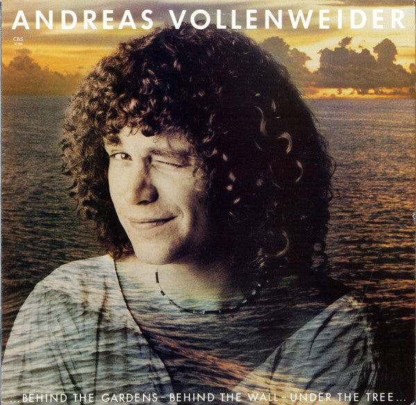 VOLLENWEIDER, ANDREAS - BEHIND THE GARDENS (US PRESS) - LP