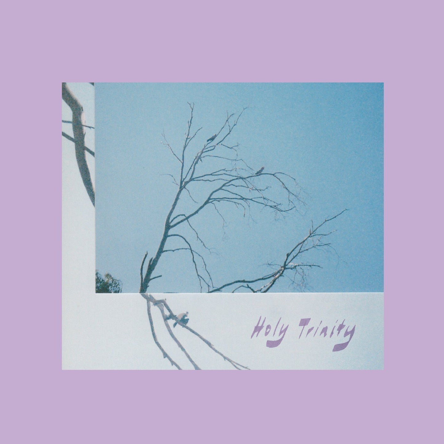 ALTMAN, LAURA - HOLY TRINITY - CD