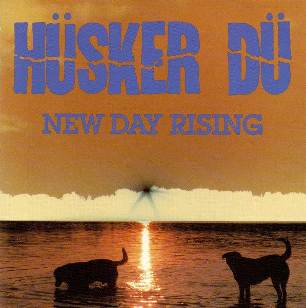 HUSKER DU - NEW DAY RISING - CD