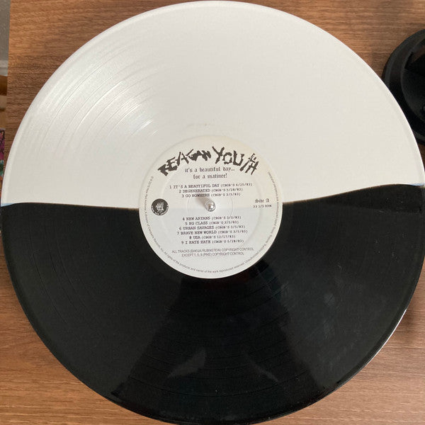 REAGAN YOUTH - IT'S A BEAUTIFUL DAY...FOR A MATINEE - LP