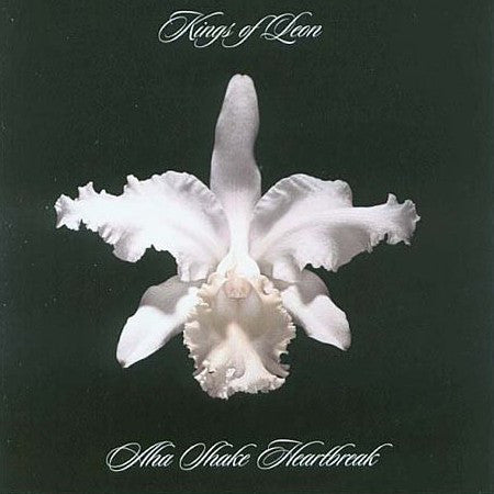 KINGS OF LEON - AHA SHAKE HEARTBREAK : 2LP SET - LP