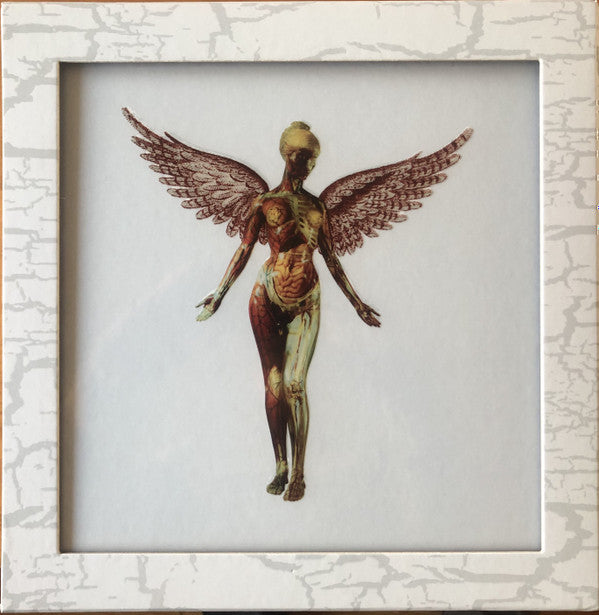 NIRVANA - IN UTERO : 30TH ANNIVERSARY 8LP BOX SET - LP