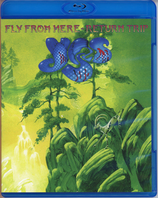 YES - FLY FROM HERE (RETURN TRIP): 2025 - BR