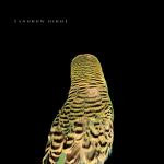 BIRD, ANDREW - ARMCHAIR APOCRYPHA - CD