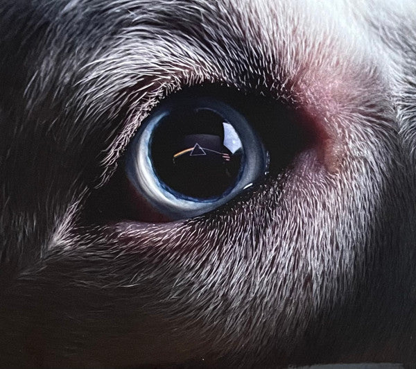 WATERS, ROGER - DARK SIDE OF THE MOON REDUX - CD