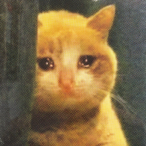 MAHAL, TAJ - SAVOY - LP