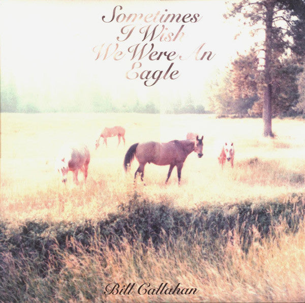 CALLAHAN, BILL - SOMETIMES I WISH WE WERE AN EAGLE - LP