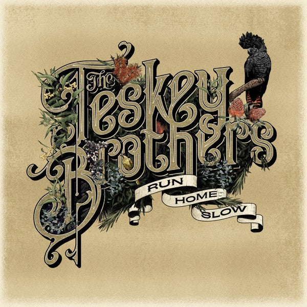 TESKEY BROTHERS - RUN HOME SLOW - CD