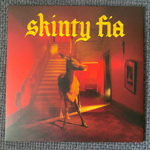 FONTAINES DC - SKINTY FIA - LP