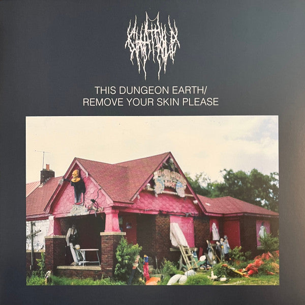 CHAT PILE - THIS DUNGEON EARTH / REMOVE ... : COLOUR - LP