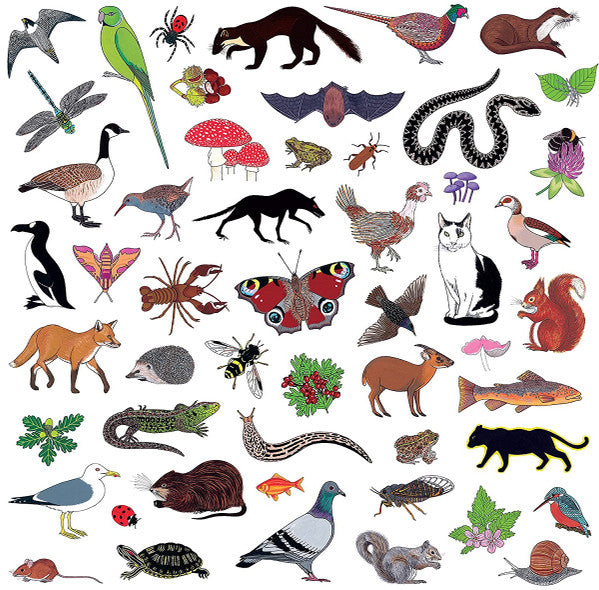 MODERN NATURE - ISLAND OF NOISE - CD