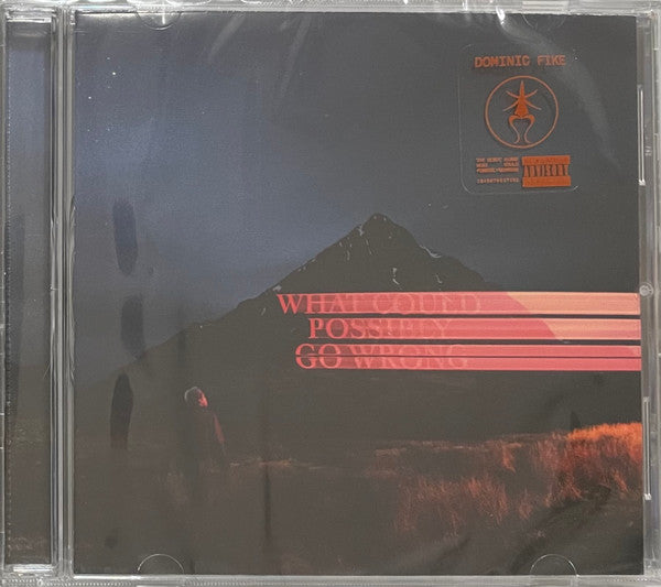 FIKE, DOMINIC - WHAT COULD POSSIBLY GO WRONG - CD