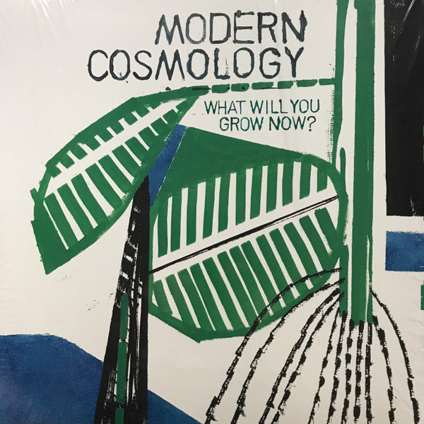 MODERN COSMOLOGY - WHAT WILL YOU GROW NOW? - LP