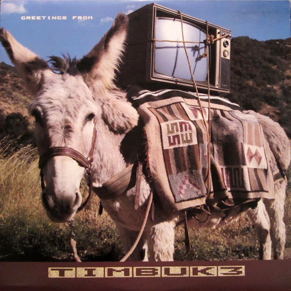 TIMBUK 3 - GREETINGS FROM TIMBUK 3 (US PRESS) - LP