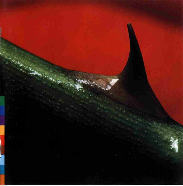 KHAN, NUSRAT FATEH ALI - NIGHT SONG - CD