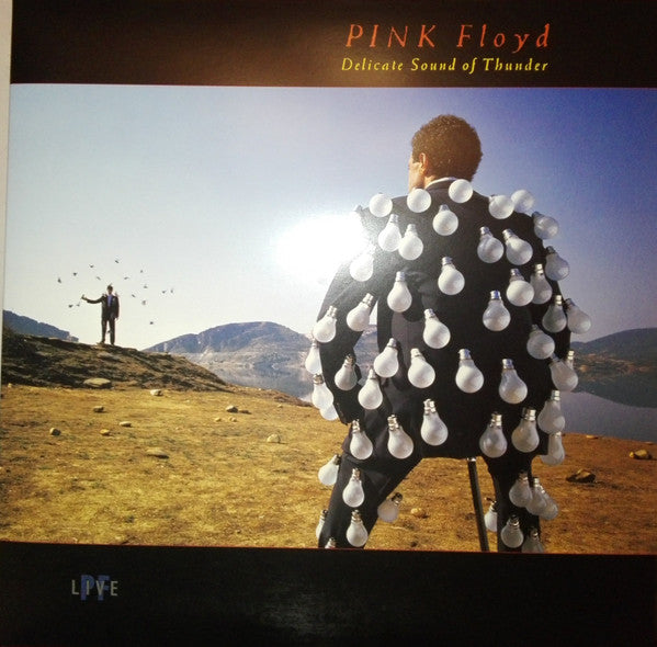 PINK FLOYD - DELICATE SOUND OF THUNDER : 2LP 180G VIN - LP