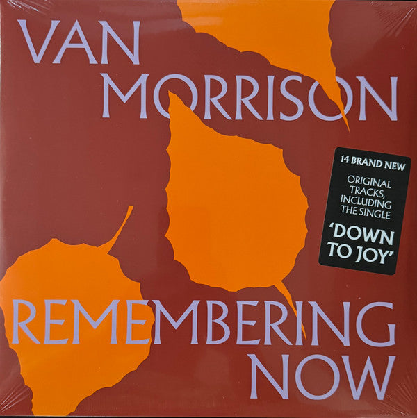MORRISON, VAN - REMEMBERING NOW : BLACK 2LP SET - LP
