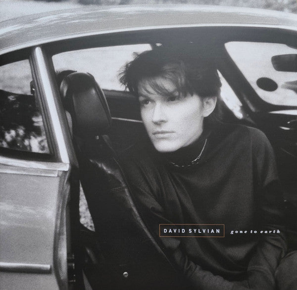 SYLVIAN, DAVID - GONE TO EARTH : WHITE BROWN & BLACK 2LP - LP