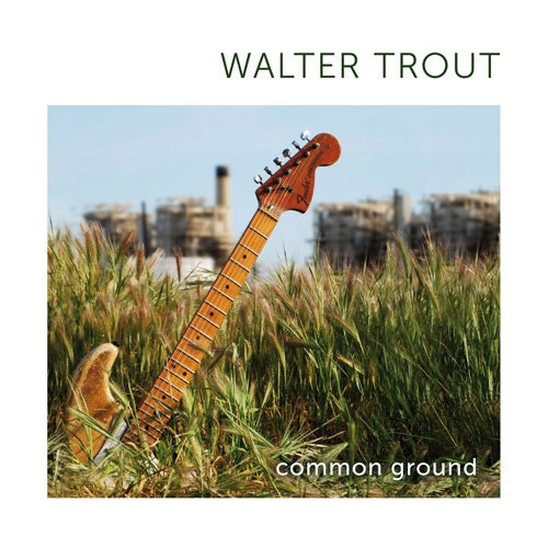 TROUT, WALTER - COMMON GROUND - CD