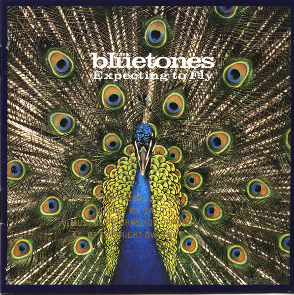 BLUETONES - EXPECTING TO FLY - CD