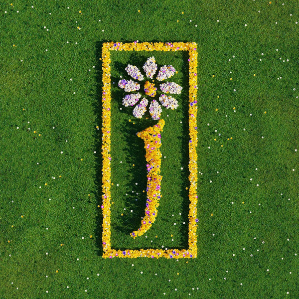 JAMES - NOTHING BUT LOVE : DEFINITIVE (5LP SET) - LP