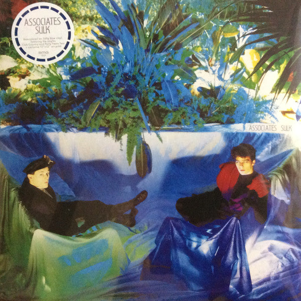 ASSOCIATES - SULK : WITH 12" X 12" ART PRINT (2022) - LP