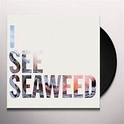 DRONES - I SEE SEAWEED : 2026 REISSUE (2LP SET) - LP