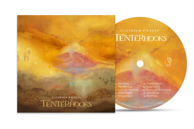 SILVERSUN PICKUPS - TENTERHOOKS - CD