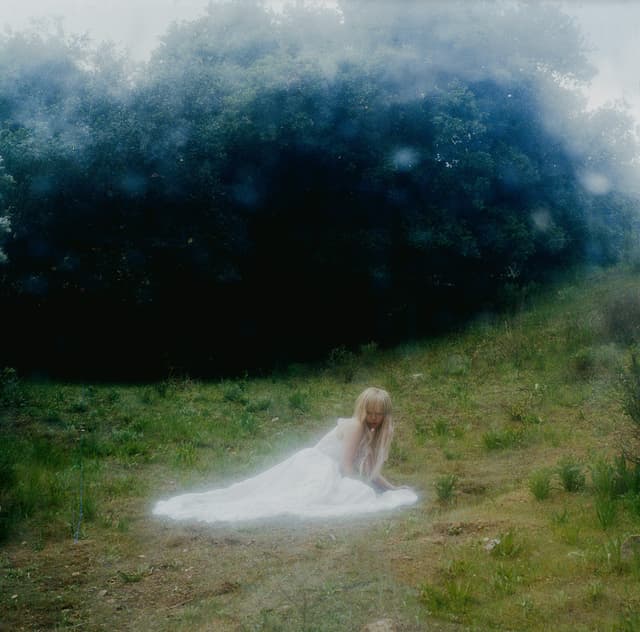 WISP - IF NOT WINTER - LP