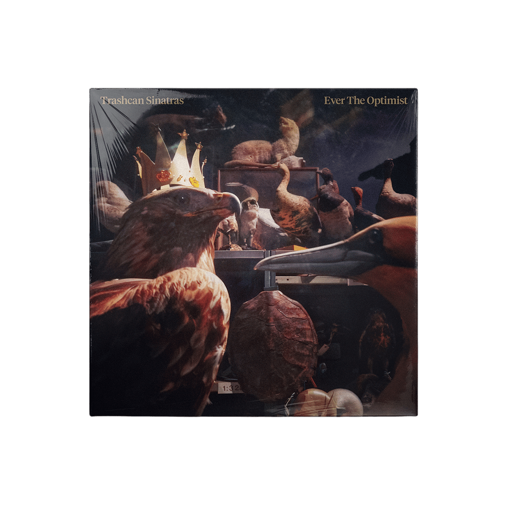 TRASHCAN SINATRAS - EVER THE OPTIMIST - CD