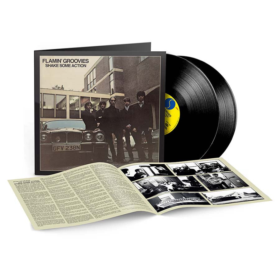 FLAMIN' GROOVIES - SHAKE SOME ACTION : 2LP DELUXE EDITION - LP