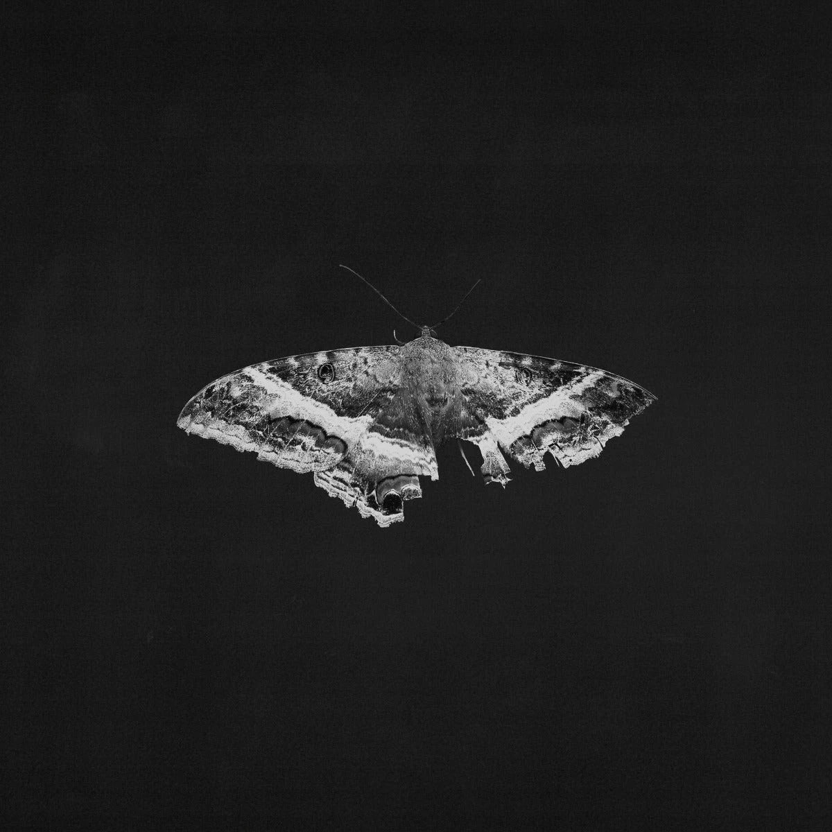 LAMAR, KENDRICK - TO PIMP A BUTTERFLY: 2LP 10TH ANNIV. - LP