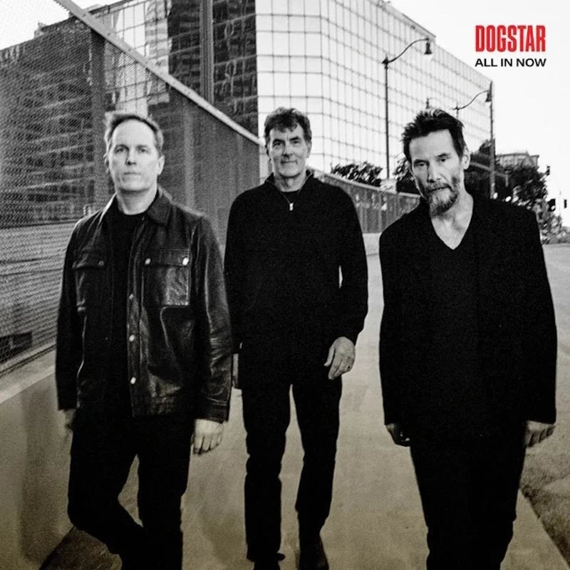 DOGSTAR - ALL IN NOW - CD