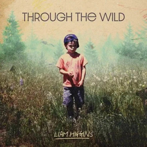 HIGGINS, LIAM - THROUGH THE WILD - CD