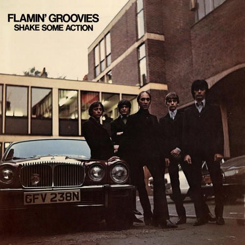 Flamin' Groovies - Shake Some Action