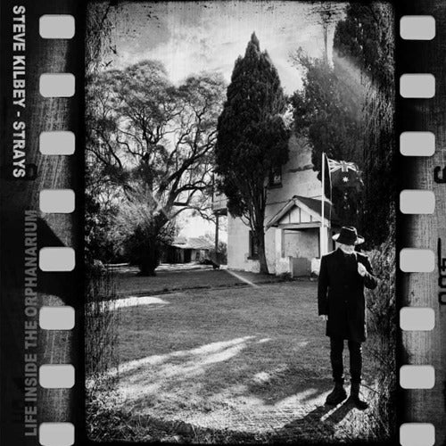 Steve Kilbey - Strays: Life Inside The Orphanarium