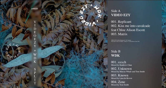 VIDEO EZY / WDK - SPLIT (CASSETTE) - CS