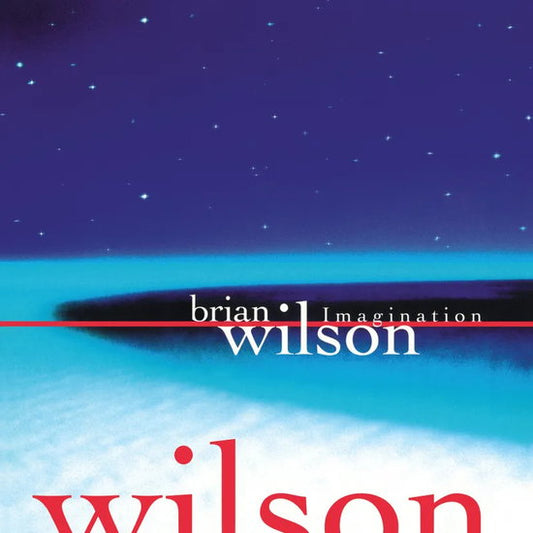 WILSON, BRIAN - IMAGINATION - LP